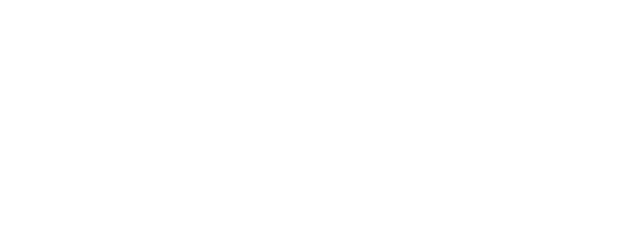 Wesal-Pro